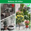 4Packs Iron Plotted Plant Stands Shelves Heavy Duty Round Flower Pot Holder Rack Home Yard Garden Patio D√©cor